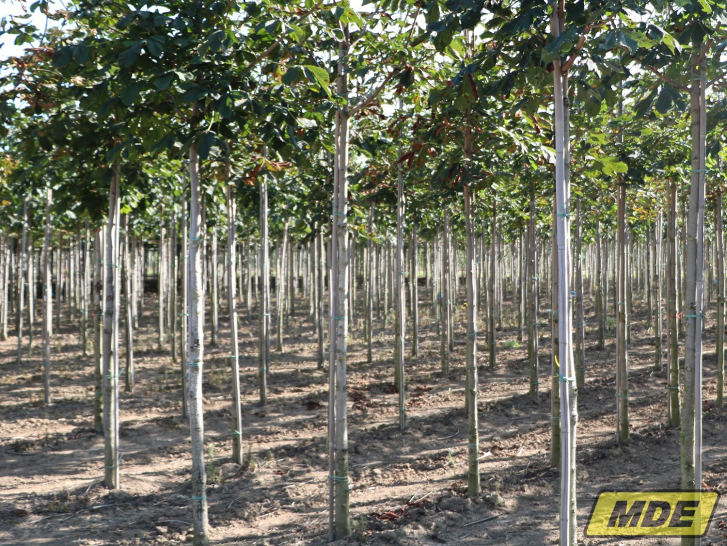 mde-machinebouw-stokken-zetten-2-